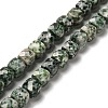 Natural Green Spot Jasper Beads Strands G-H078-C27-01-1