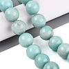 Dyed Natural White Jade Beads Strands G-Q606-69A-1