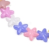 Baking Paint Glass Beads LAMP-C021-01K-3