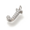 304 Stainless Steel Micro Pave Cubic Zirconia Pendants STAS-H228-06P-J-2
