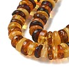 Natural Amber Beads Strands G-K387-C01-01-3