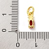 Rack Plating Brass Micro Pave Cubic Zirconia Charms KK-F881-03G-4