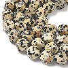 Natural Dalmatian Jasper Beads Strands G-C267-B21-4