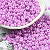 Baking Paint Luster Glass Seed Beads SEED-B001-04A-07-1