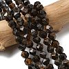 Natural Bronzite Beads Strands G-Z119-A30-01-1