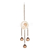 Flat Round & Rose Hanging Crystal Chandelier Pendant HJEW-M002-03-1