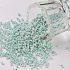 11/0 FGB Grade A Round Glass Seed Beads SEED-N001-B-0487-1