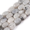 Natural Labradorite Beads Strands G-T138-85-4