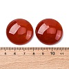 Natural Agate Cabochons G-K348-08B-03-2