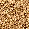 MIYUKI Round Rocailles Beads X-SEED-G009-RR4202-3