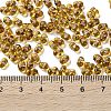 Glass Seed Beads SEED-L011-02A-04-4