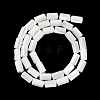 Natural Trochus Shell Beads Strands BSHE-Z003-18-2