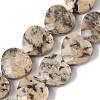 Natural Feldspar Beads Strands G-A309-A02-01-2