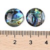 Natural Paua Shell Cabochons SSHEL-I026-20C-3