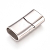 Tarnish Resistant 304 Stainless Steel Magnetic Clasps with Glue-in Ends STAS-L213-02P-2