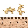304 Stainless Steel Pendants X-STAS-I367-09G-3