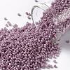 TOHO Round Seed Beads X-SEED-TR15-0127-1