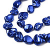Electroplated Natural Freshwater Shell Beads SHEL-N026-195A-3