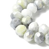 Electroplate Glass Beads Strands LAMP-S068-11F-3