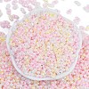 Glass Seed Beads SEED-K010-03I-3