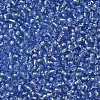 8/0 Glass Seed Beads X2-SEED-A005-3mm-26-2