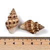 Natural Spiral Shell Beads SHEL-K009-17C-3