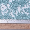 MIYUKI Delica Beads SEED-X0054-DB0217-4