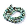 Natural Magnesite Beads Strands TURQ-F017-02-10mm-2