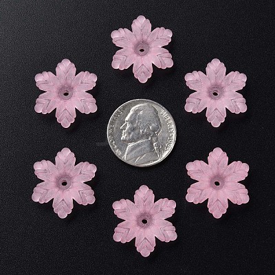 Transparent Acrylic Beads MACR-S373-117-D12-1