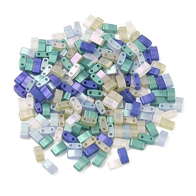 Glass 2-Hole Baking Paint Glass Seed Beads GLAA-G130-01E-1