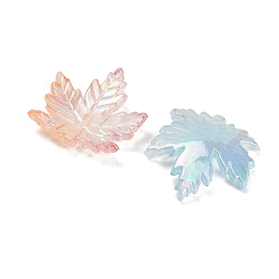 Transparent Acrylic Pendants AC-CBA5040-06-1