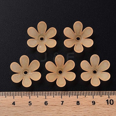 Transparent Acrylic Beads X1-MACR-S373-107-D01-1