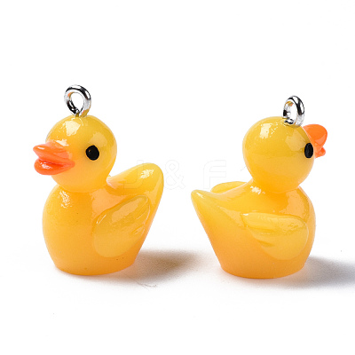 Opaque Resin Pendants X1-RESI-S356-065-1