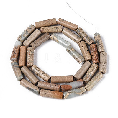 Natural Shoushan Stone Beads Strands G-T141-78B-1