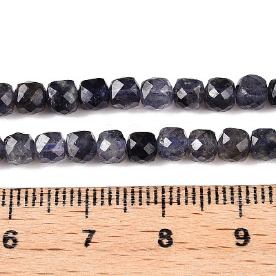 Natural Iolite Beads Strands G-N342-112A-1