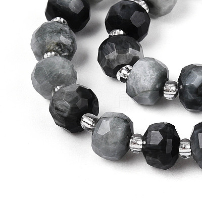 Natural Eagle Eye Stone Beads Strands G-T144-A01-03-1