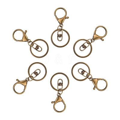 Iron Lobster Clasp Keychain X-KEYC-E016-01AB-1