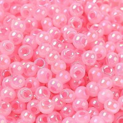 Glass Seed Beads SEED-H002-H-1309-1
