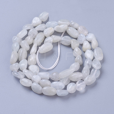 Natural Rainbow Moonstone Beads Strands X-G-P433-16-1