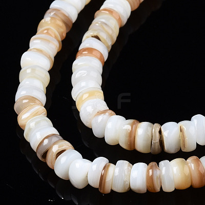 Natural Freshwater Shell Beads Strands SHEL-T018-28-1