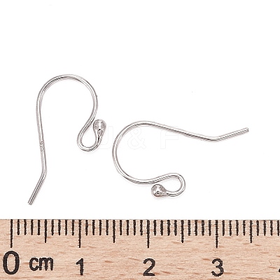 Anti-Tarnish Rhodium Plated 925 Sterling Silver Earring Hooks STER-I005-49P-1