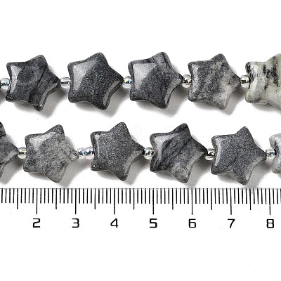 Natural Black Silk Stone/Netstone Beads Strands G-NH0005-009-1