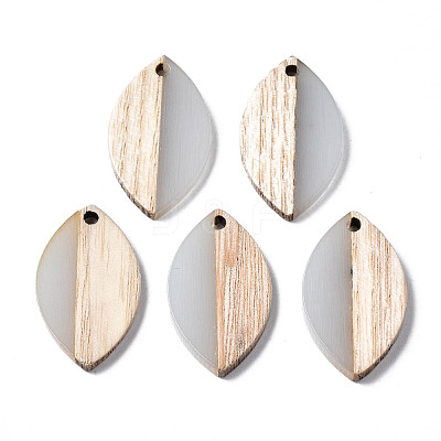 Resin & Wood Pendants RESI-S389-075-1