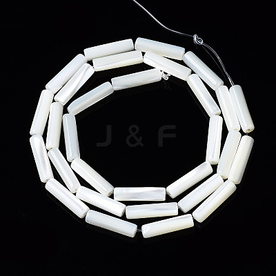 Natural Trochid Shell/Trochus Shell Beads Strands SSHEL-S266-020A-03-1