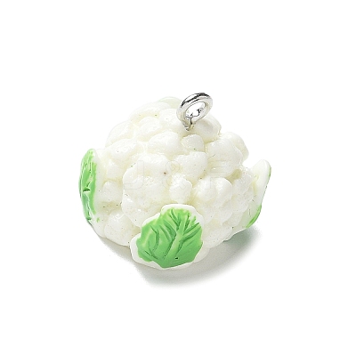 Resin Iron Pendants LS-RESI-D280-07-1