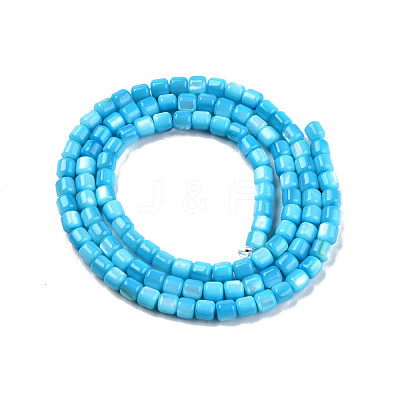 Natural Freshwater Shell Beads Strands SHEL-N003-33-A03-1