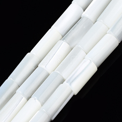 Natural Trochid Shell/Trochus Shell Beads Strands SSHEL-S266-020A-01-1