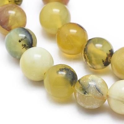 Natural Yellow Opal Round Bead Strands G-M296-02-6mm-1