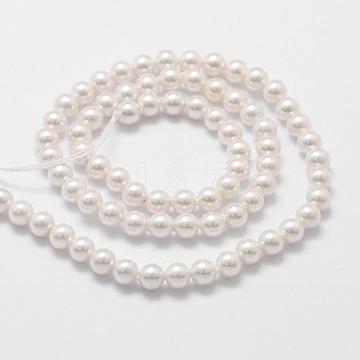 Shell Pearl Beads Strands BSHE-L025-01-6mm-1