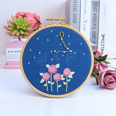 Flower & Constellation Pattern 3D Bead Embroidery Starter Kits DIY-P077-092-1